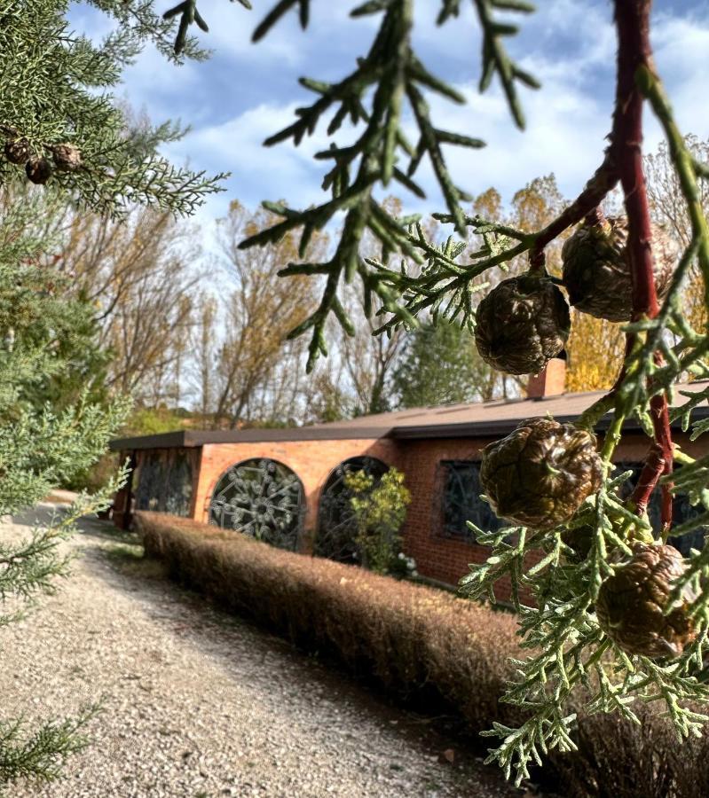 Finca Paraiso Rural El Burgo De Osma Exterior foto